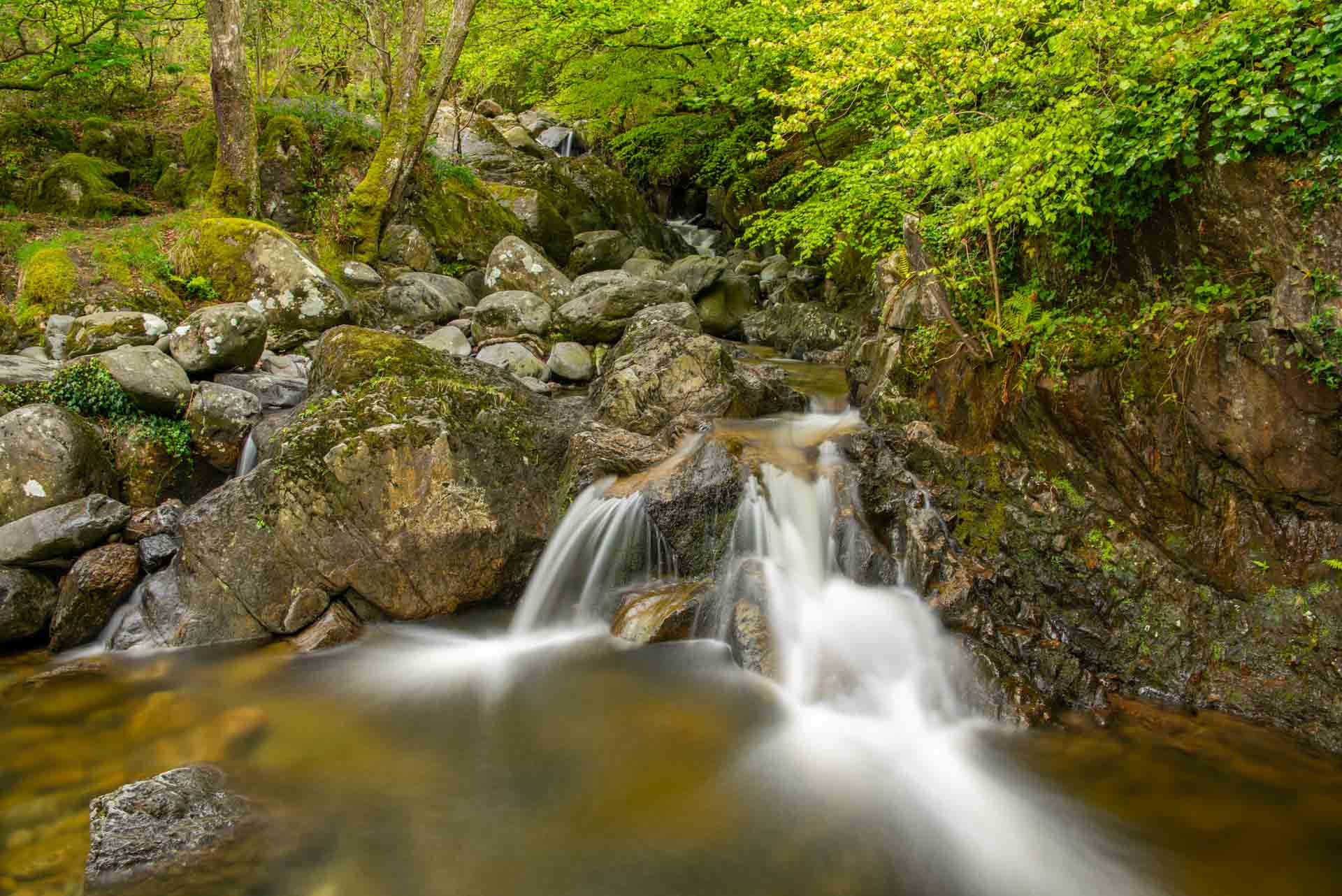 Wales 1100066