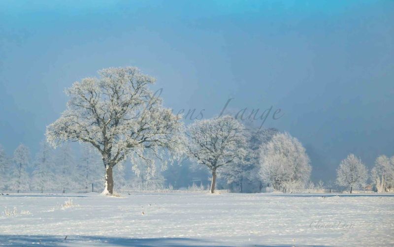 Winter 0209005