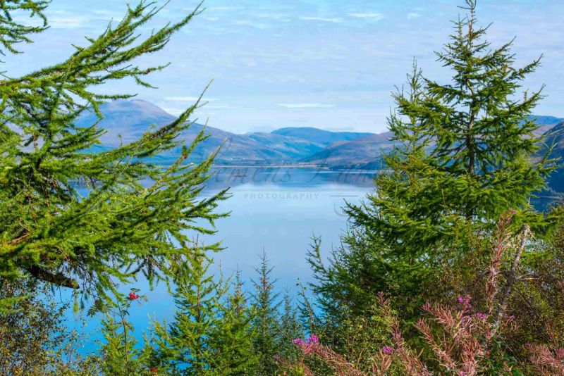Schottland 010501052